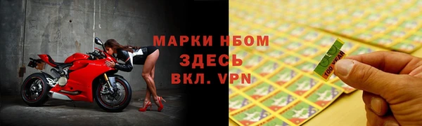 ECSTASY Пересвет