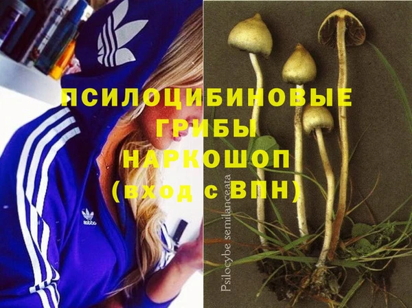 mix Алексин