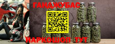прущие грибы Ангарск