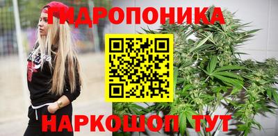 прущие грибы Ангарск