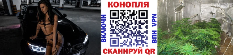 Конопля Bruce Banner  Белебей 